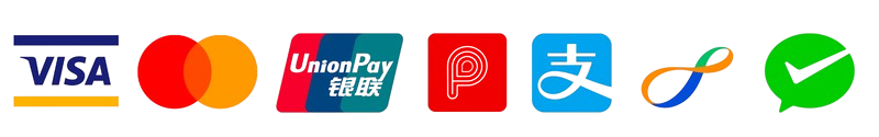 Visa Logo